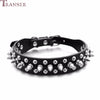 Transer Pet Dog Supplies PU Leather Punk Rivet Spiked Dog Collar Pet Collars For Small Dog Cat 80124